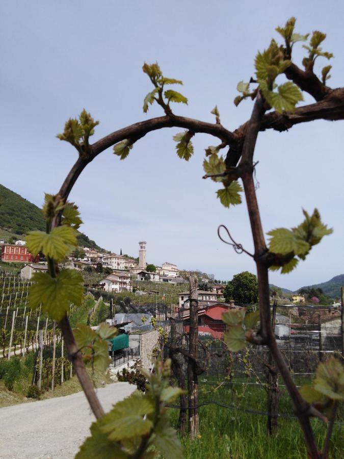 Agriturismo Vigneto Vecio Valdobbiadene Esterno foto