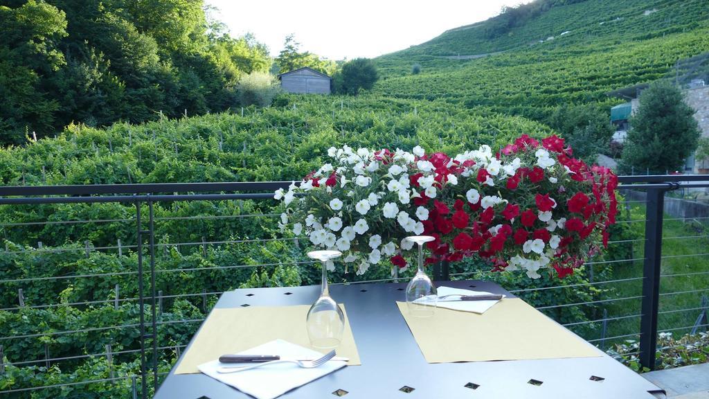 Agriturismo Vigneto Vecio Valdobbiadene Esterno foto